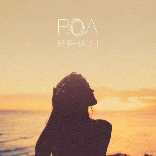 BOA - Pharaoh