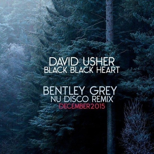 David Usher - Black Black Heart