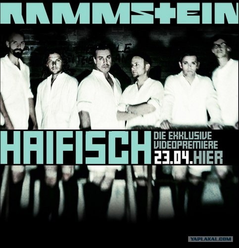 Rammstein - Haifisch