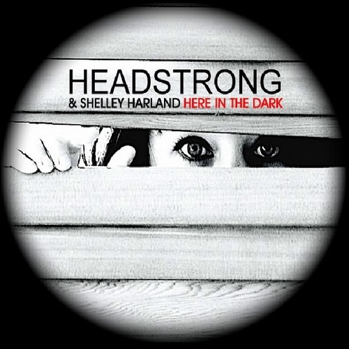Shelley Harland - Here in the dark