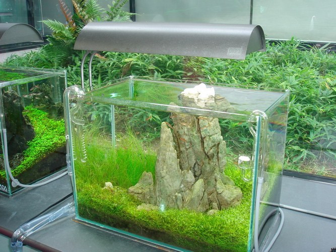 Aquarium (Аквариум)