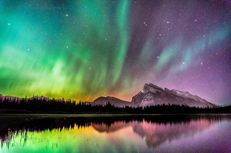 Aurora