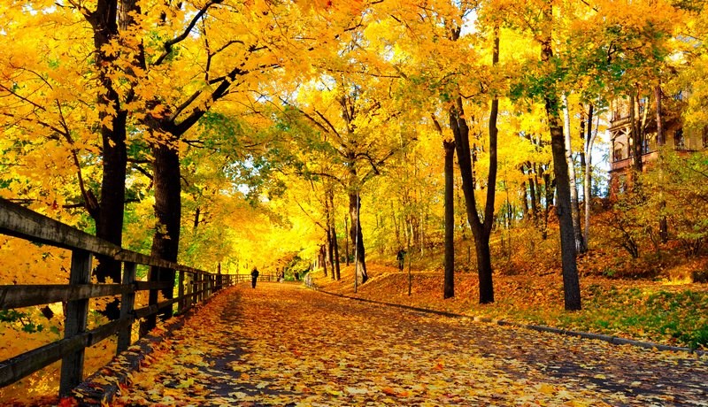 Autumn