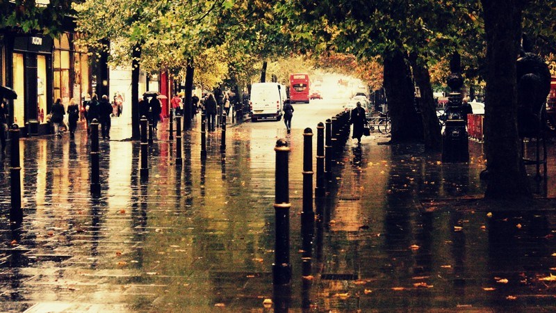 City Rain