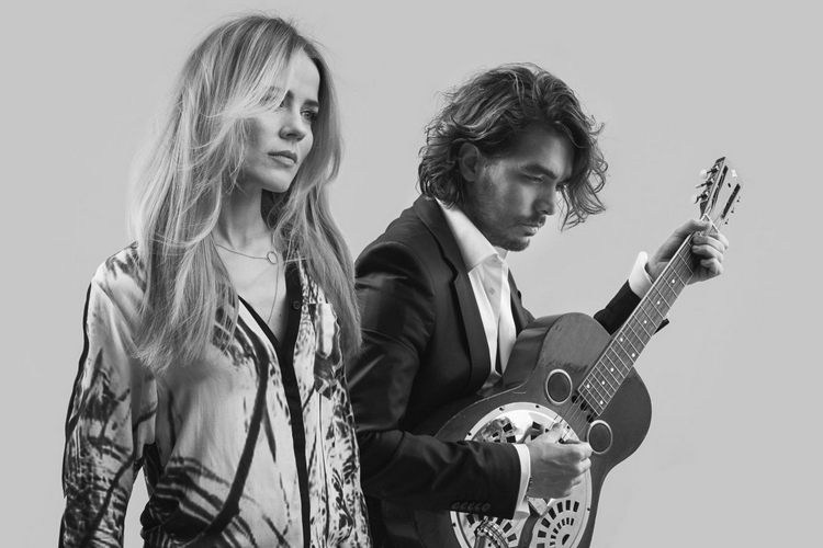 Common Linnets, The