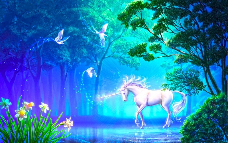 Dreamland