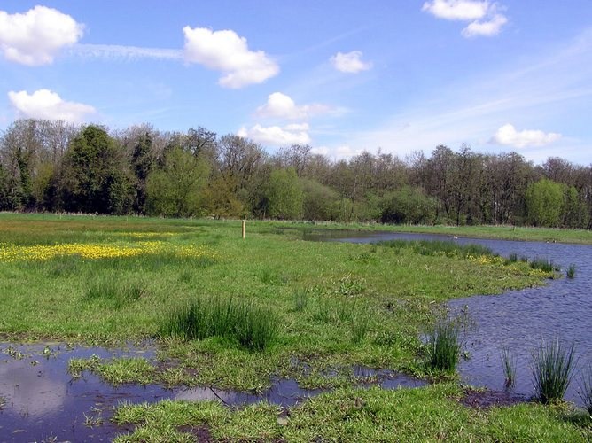 Fen