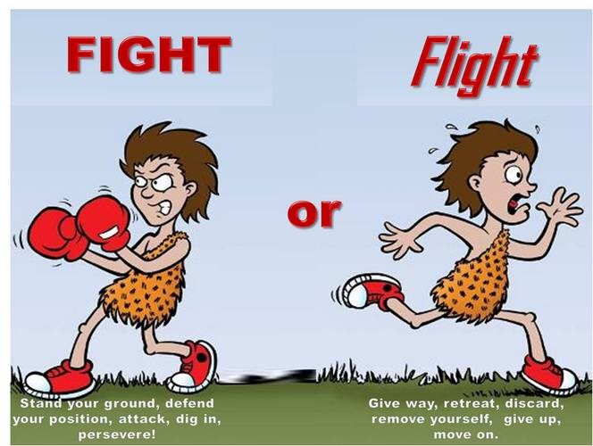 Fight or flight