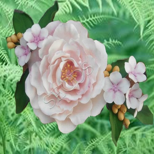 Full Blown Rose