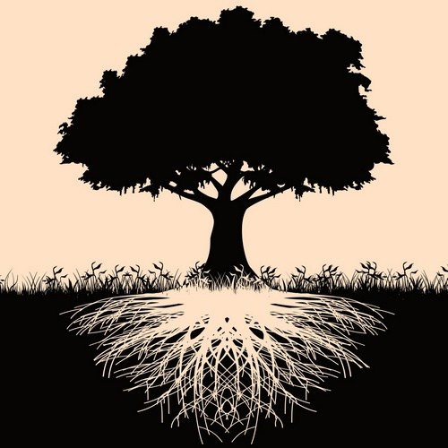 Genealogy
