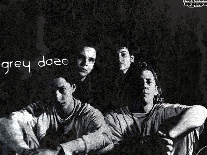 Grey Daze