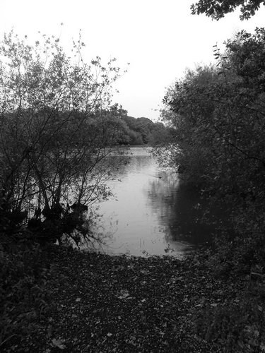 Grey Waters