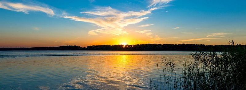 Lakeshore