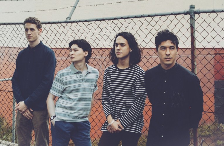 Last Dinosaurs