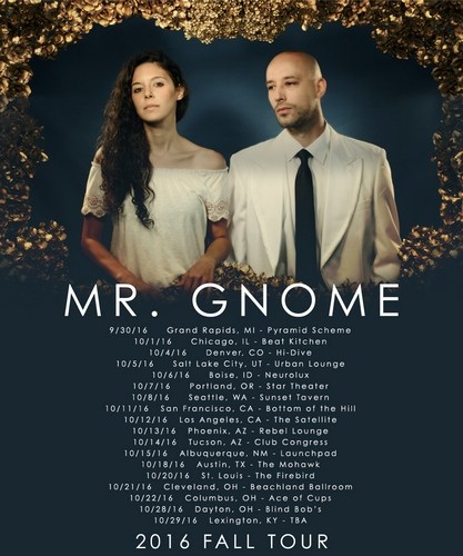 Mr. Gnome