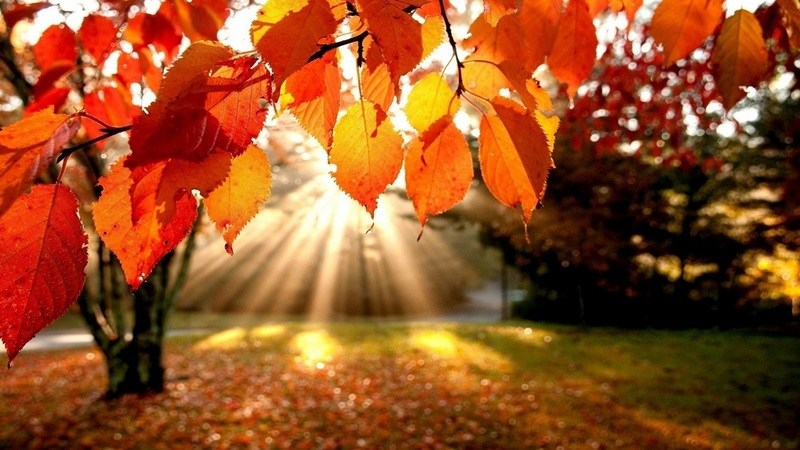 Novembre