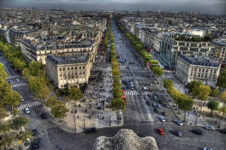 Paris Avenue