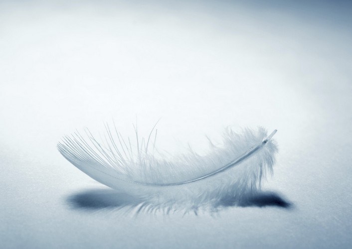 Piuma