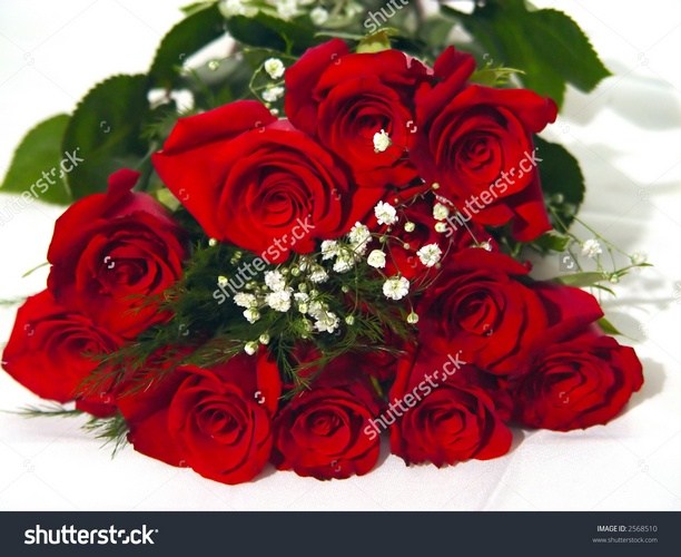 ROZES