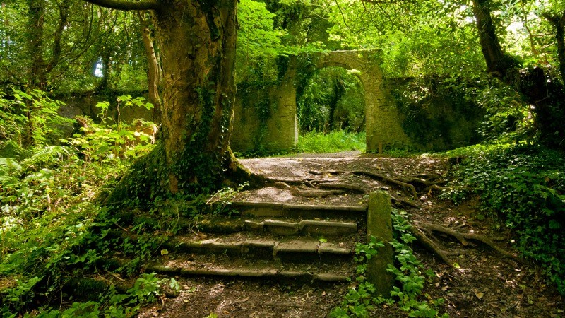 Secret Garden