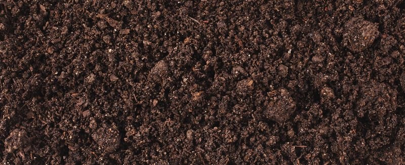 Soil