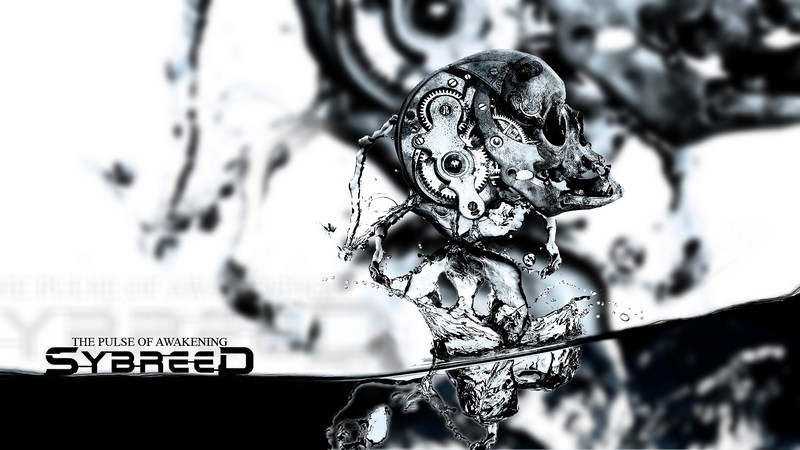 Sybreed