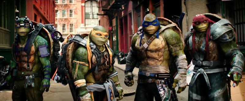 Turtles, The