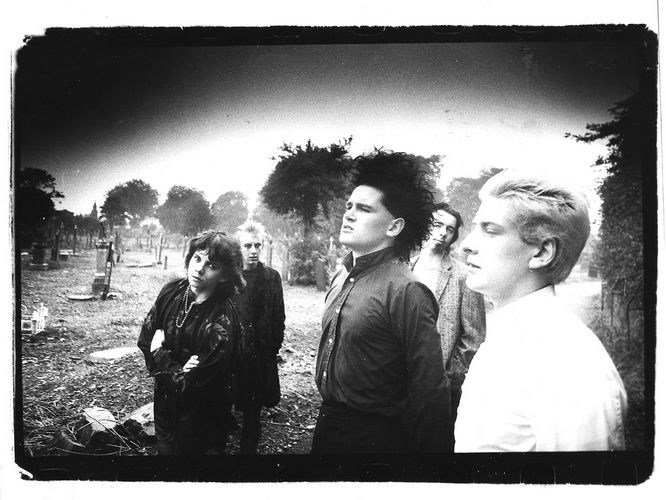Virgin Prunes
