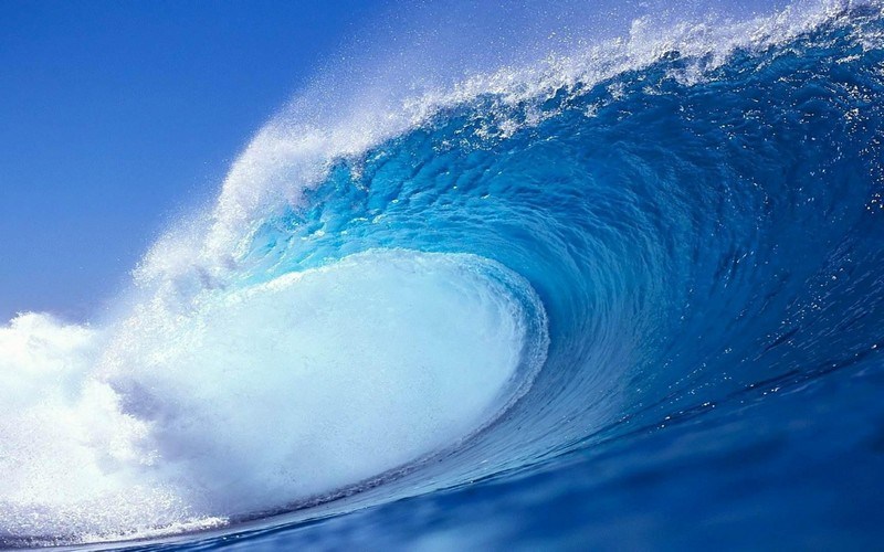 WAVE