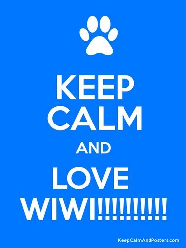 Wiwi